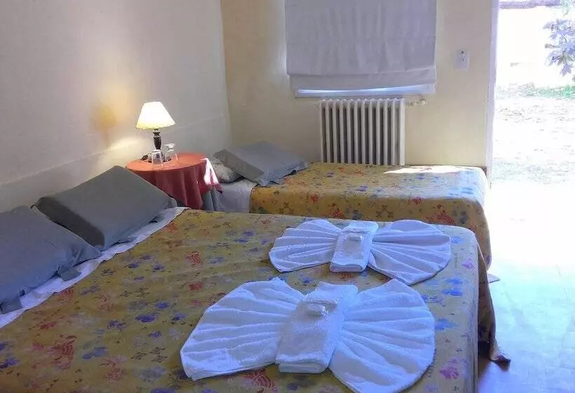 Hotel Posada Del Arbol