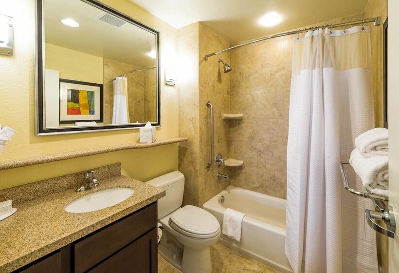 Отель Towneplace Suites By Marriott El Paso Airport