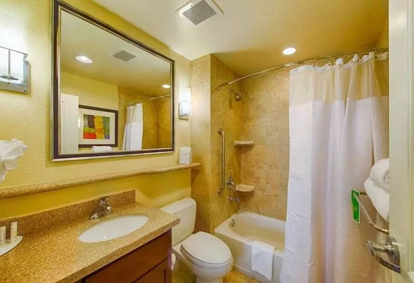 Отель Towneplace Suites By Marriott El Paso Airport