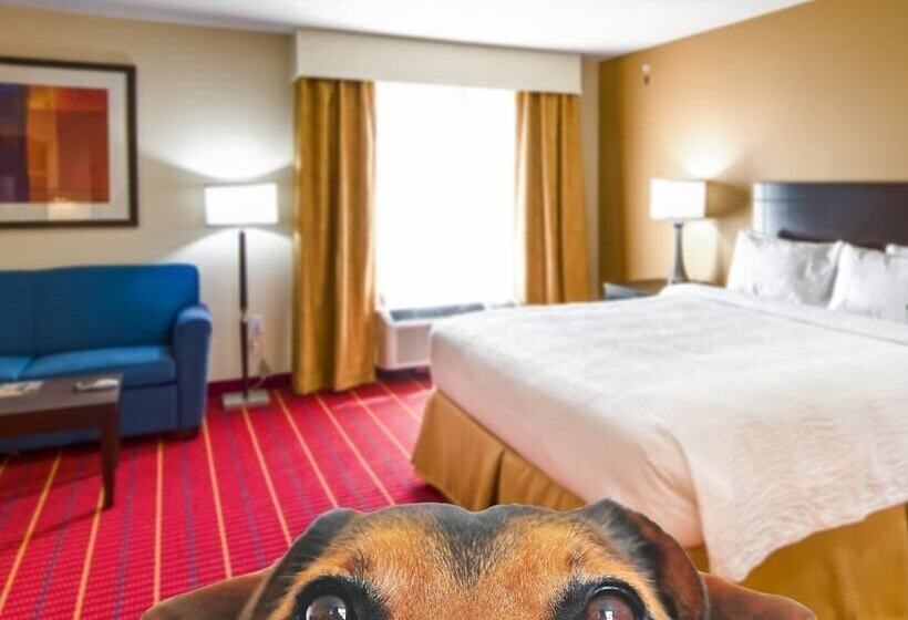 Отель Towneplace Suites By Marriott El Paso Airport