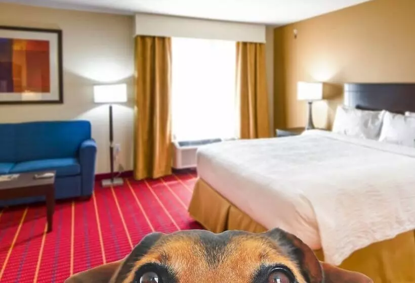 Отель Towneplace Suites By Marriott El Paso Airport