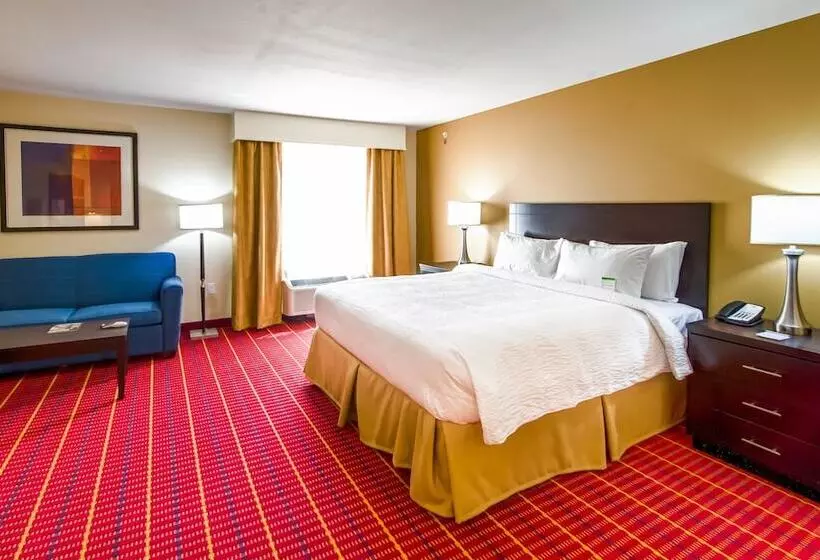 Отель Towneplace Suites By Marriott El Paso Airport