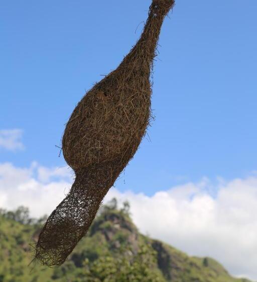 فندق صغير Ella River Face Inn