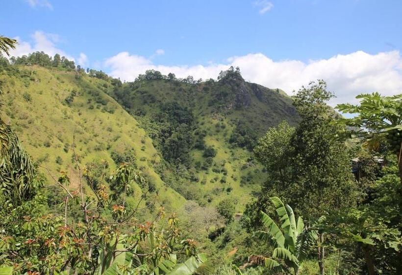 فندق صغير Ella River Face Inn