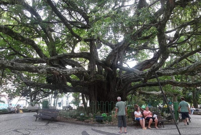 Apto Completo 6 Pessoas 100m Da Praia Dos Ingleses