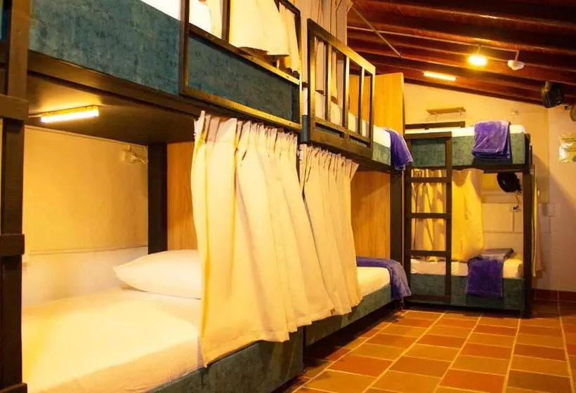 ペンション Hostal Colombian Gold