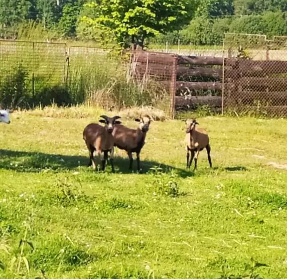 Majatalo Penzion Poutník