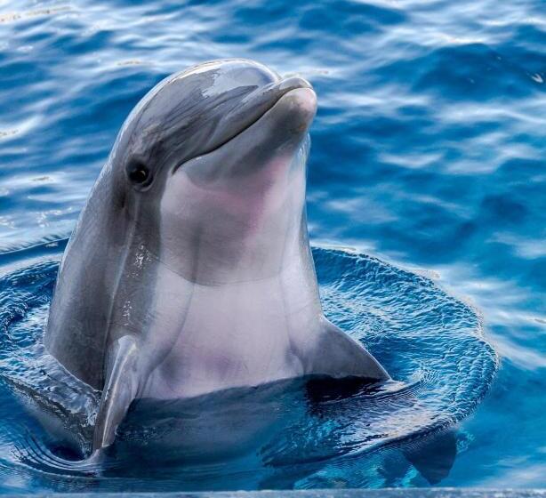 Waterlily House   Luxury Canal House, Jetty, Dog & Child Friendly   Sleeps 14