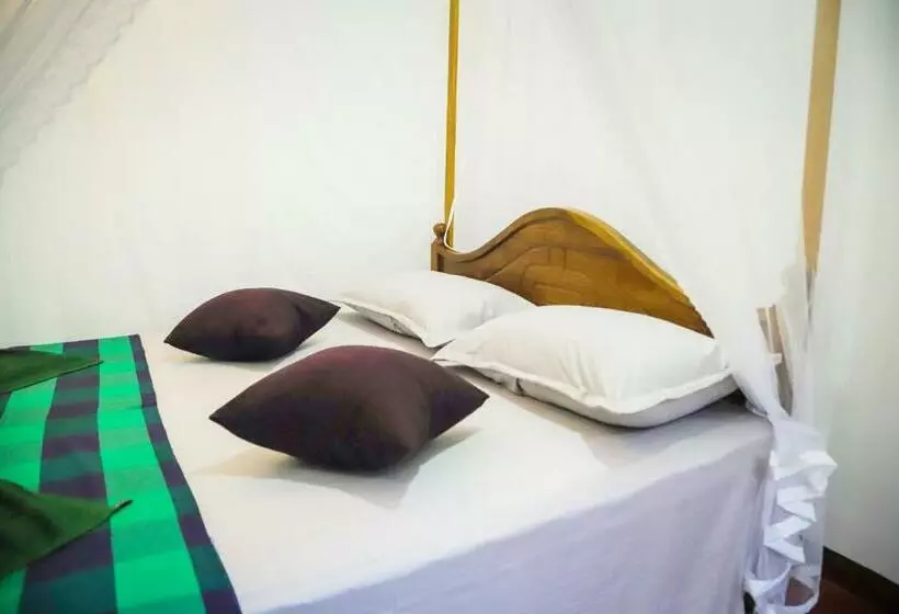 تختخواب و صبحانه Mango Shade Mirissa