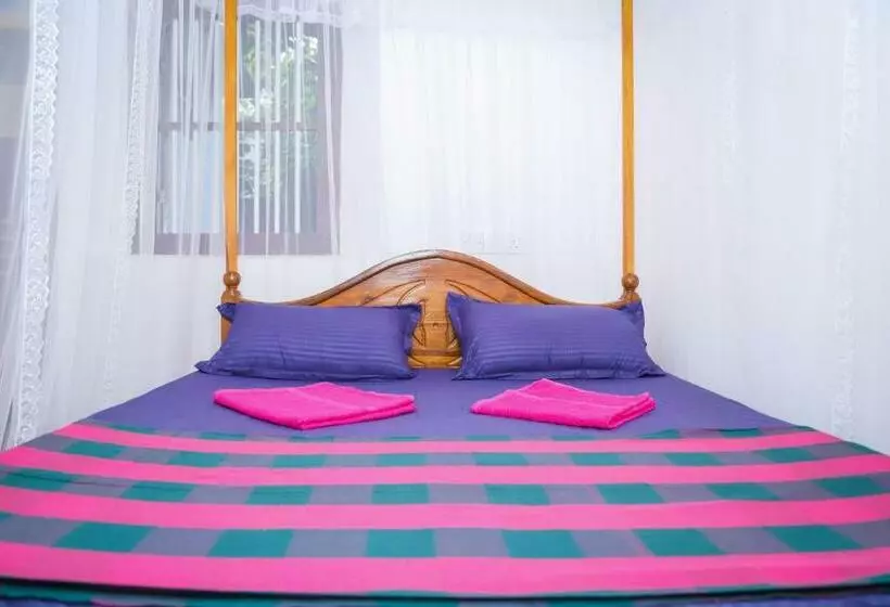 تختخواب و صبحانه Mango Shade Mirissa