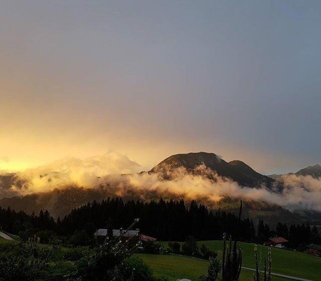 Geelink S Berghütte