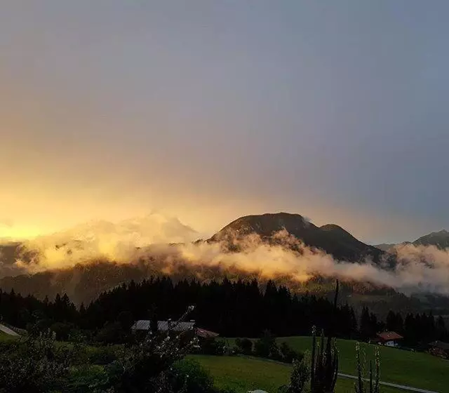 Geelink S Berghütte