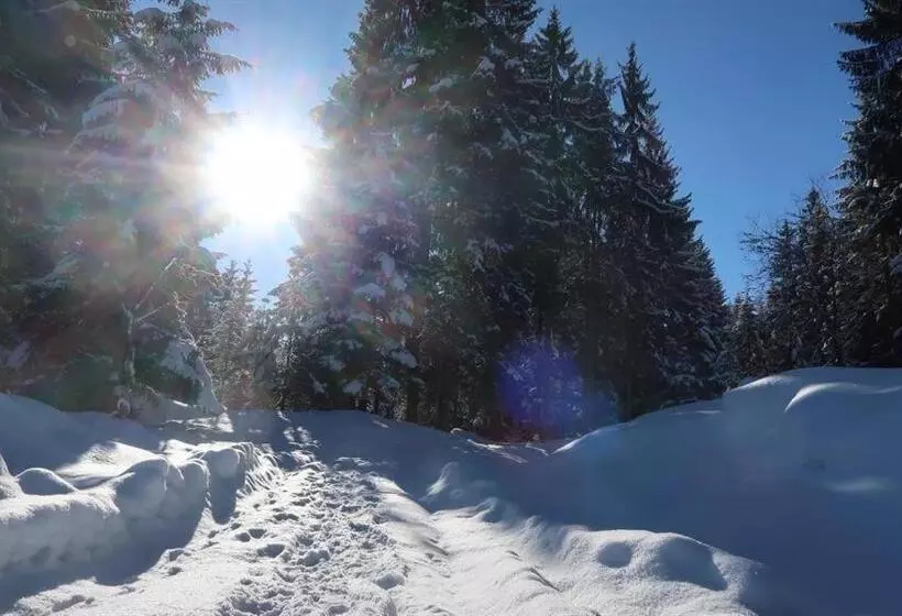 Geelink S Berghütte