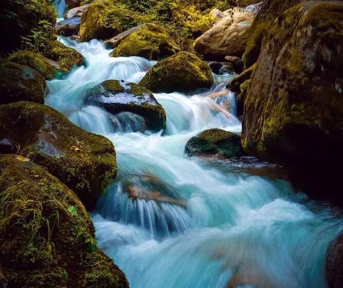 ホテル Regenta Place Green Leaf Manali  A Centrally Heated Resort