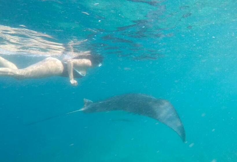 پانسیون Coral Queen Villa, Ukulhas