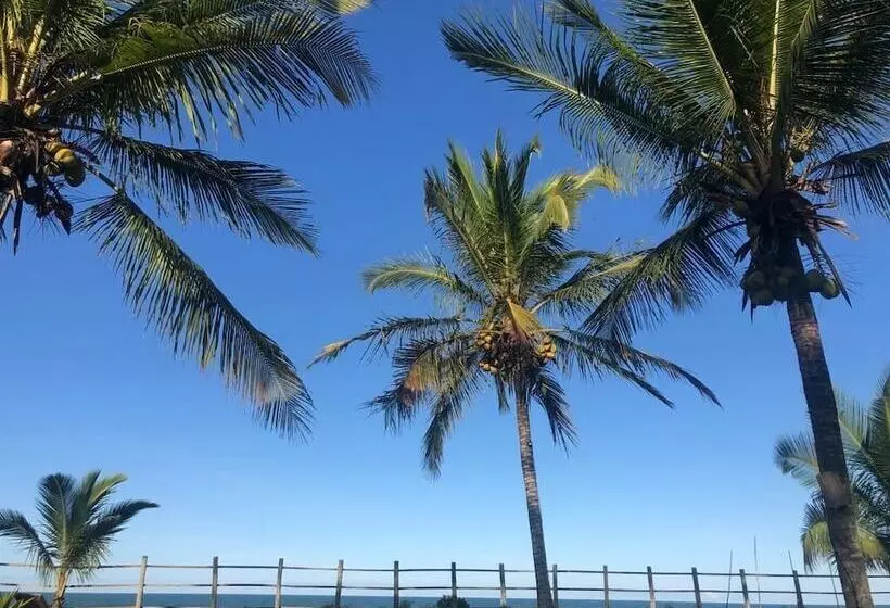 ユースホステル Pousada Vila Rosa   Caraiva