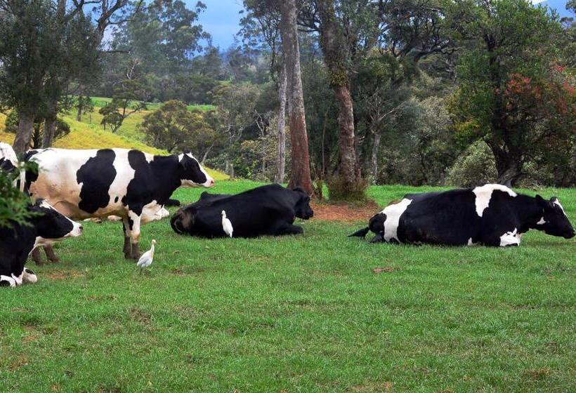 فندق Fort Windshire