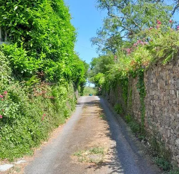 The Artist S Retreat