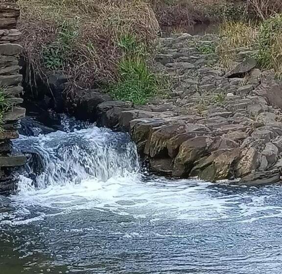 A Casa Da Carolina Ii