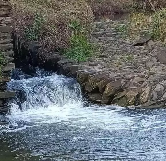 A Casa Da Carolina Ii