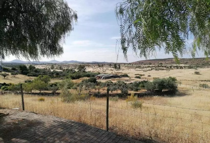 A Casa Da Carolina Ii