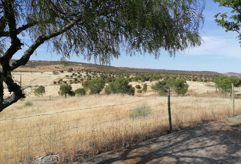 A Casa Da Carolina Ii