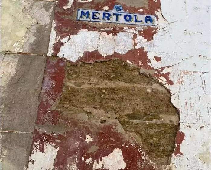 A Casa Da Carolina Ii