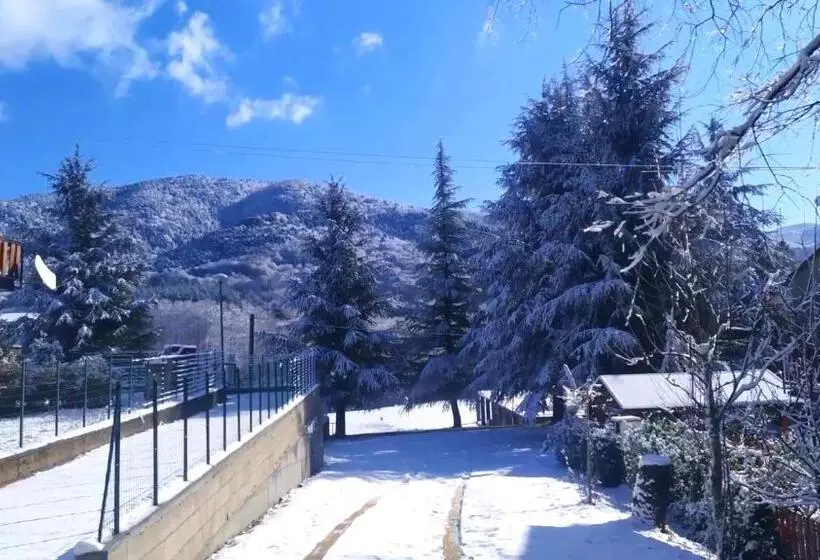 Abete Bianco