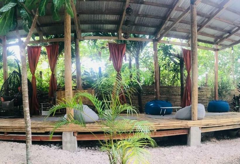 Cămin Gon Tourist Inn