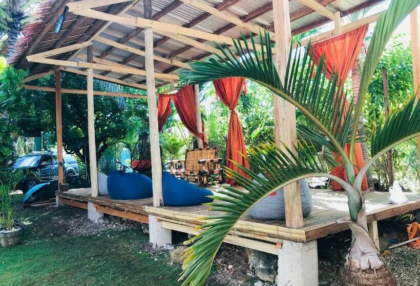 Cămin Gon Tourist Inn