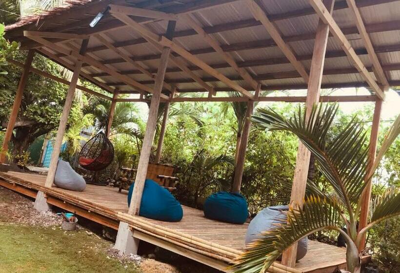 Cămin Gon Tourist Inn