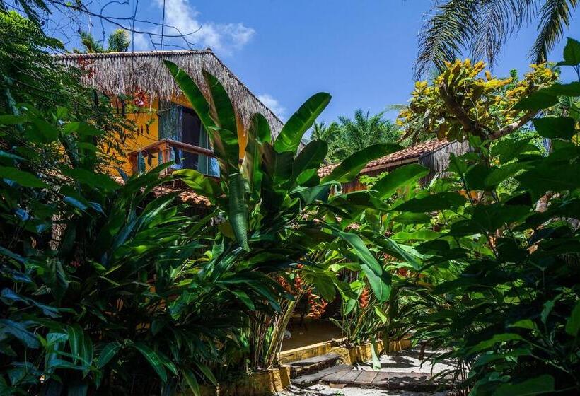 호스텔 Pousada Canoa Nativa