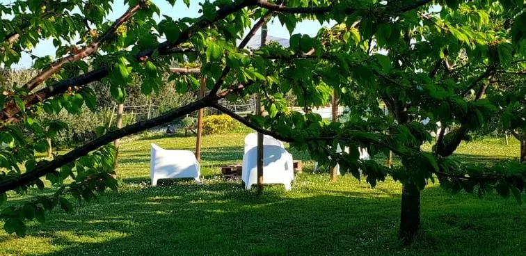 ホテル Agriturismo Le Grange