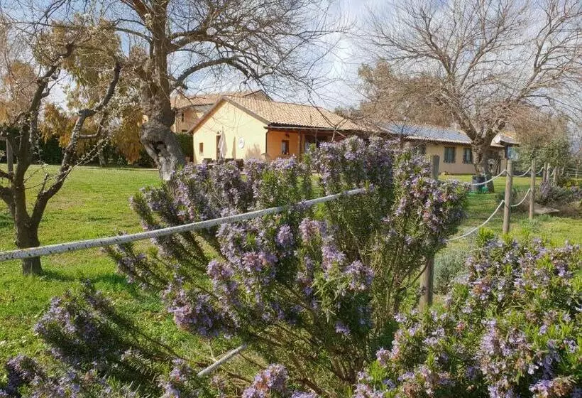 ホテル Agriturismo Le Grange