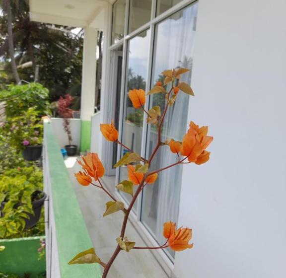 Pensionat City Sunrise