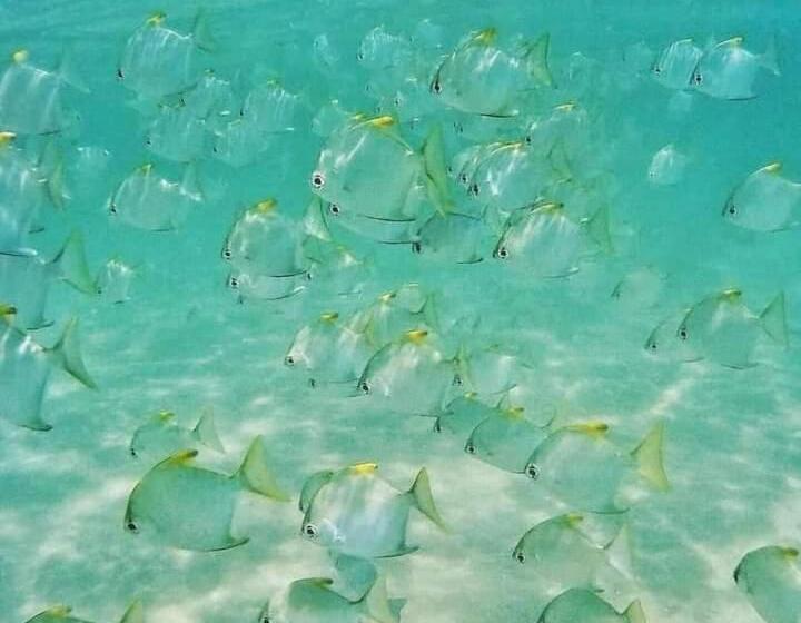 Pensionat City Sunrise