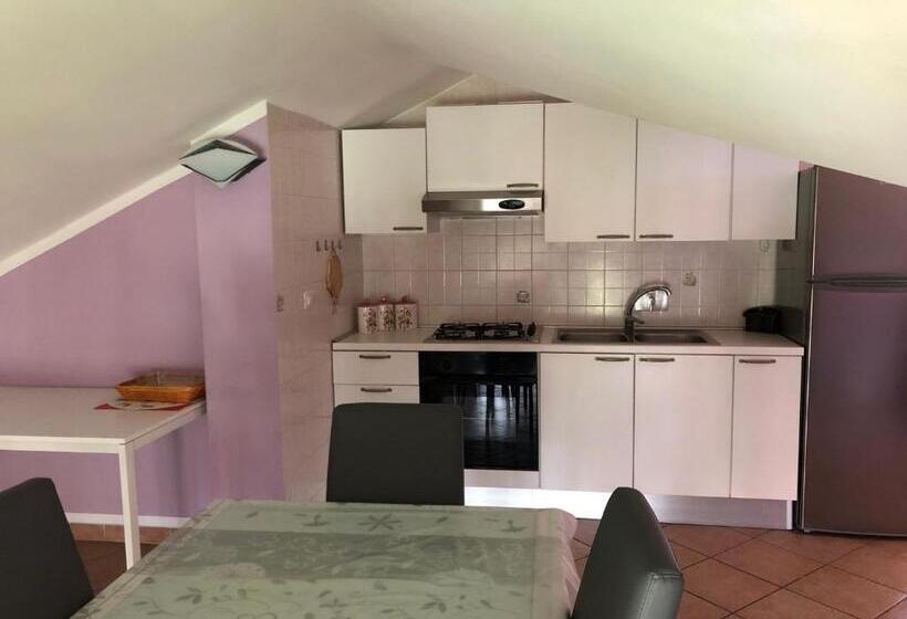 Tra Stadio E Storia Fronte Allianz Stadium Juventus