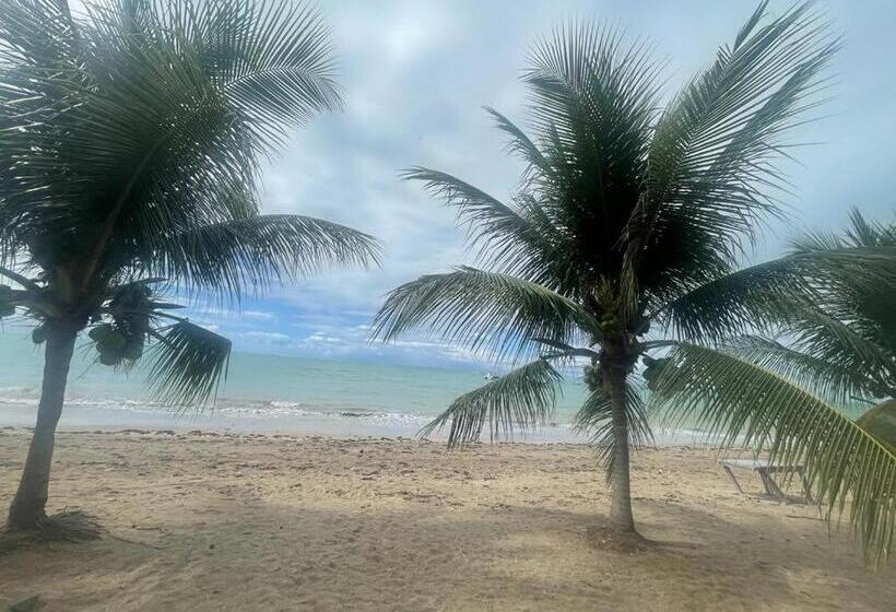 Apartamento Em Peroba Maragogi