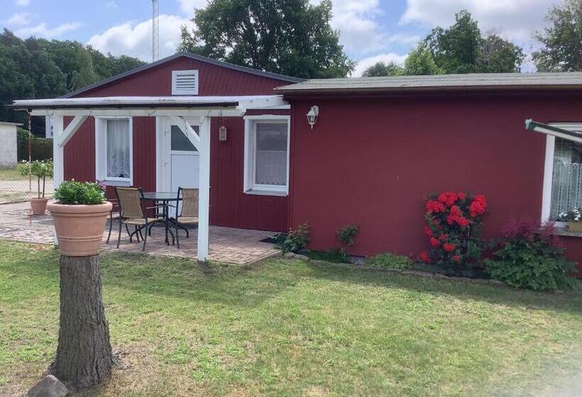 Ferienwohnung Seebad Ueckermündeot Bellin