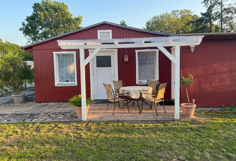 Ferienwohnung Seebad Ueckermündeot Bellin