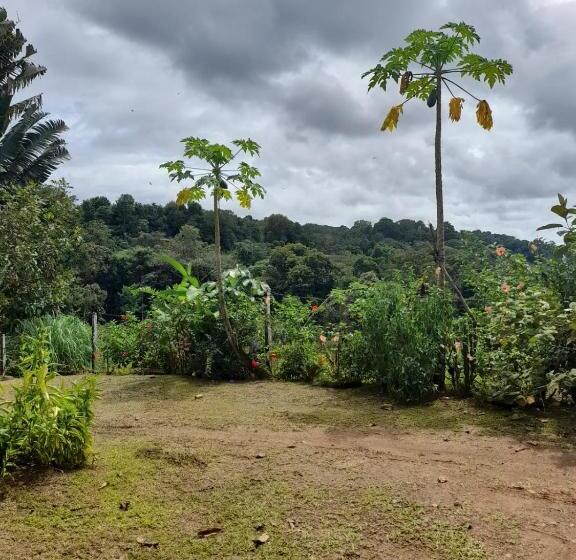 פנסיון Hostal & Cabins Lidia S House, Forest And Ocean View