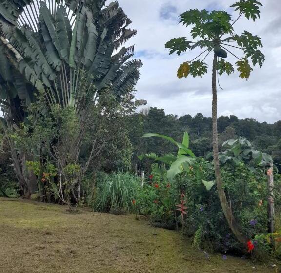 פנסיון Hostal & Cabins Lidia S House, Forest And Ocean View