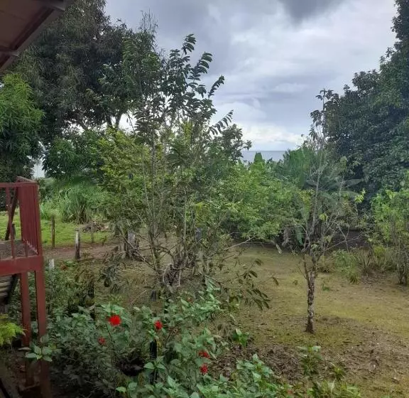 ペンション Hostal & Cabins Lidia S House, Forest And Ocean View