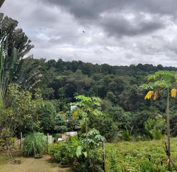 פנסיון Hostal & Cabins Lidia S House, Forest And Ocean View