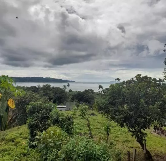ペンション Hostal & Cabins Lidia S House, Forest And Ocean View