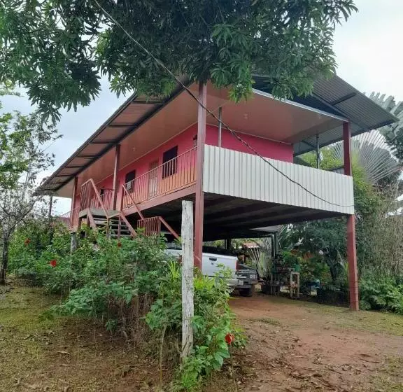 ペンション Hostal & Cabins Lidia S House, Forest And Ocean View