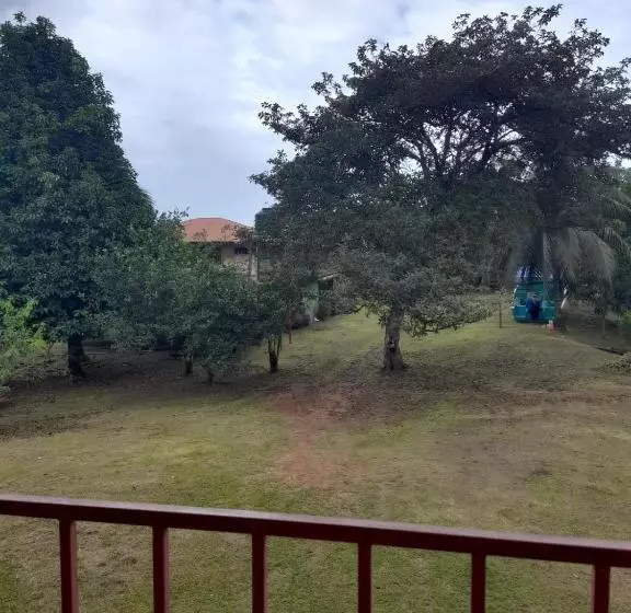 ペンション Hostal & Cabins Lidia S House, Forest And Ocean View