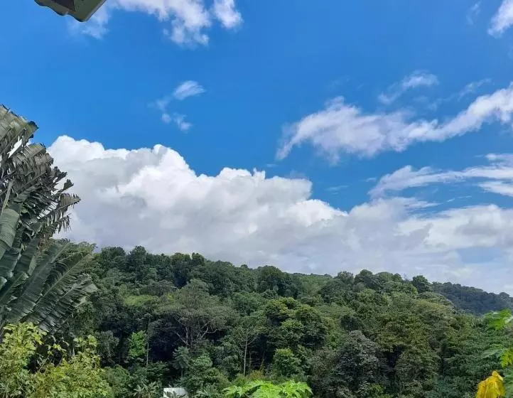 ペンション Hostal & Cabins Lidia S House, Forest And Ocean View