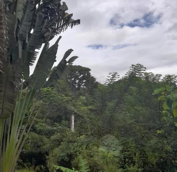 פנסיון Hostal & Cabins Lidia S House, Forest And Ocean View