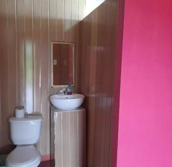 ペンション Hostal & Cabins Lidia S House, Forest And Ocean View